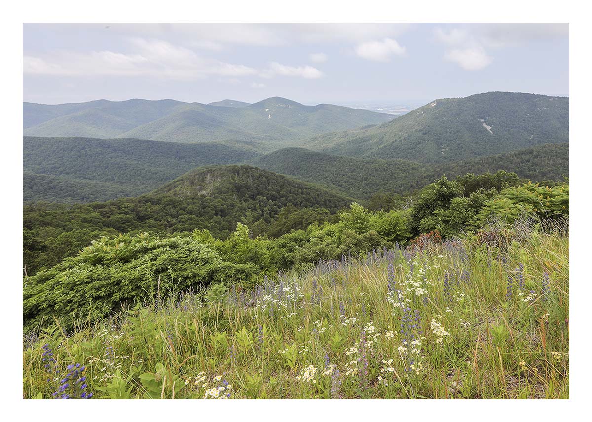 Shenandoah NP